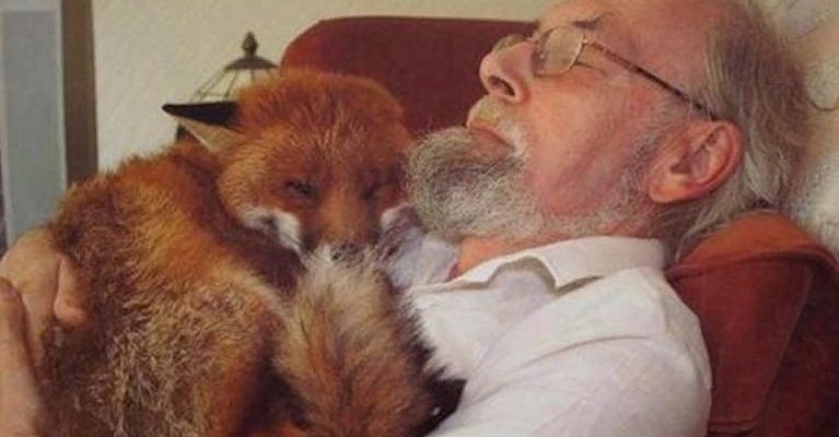 Ce vieil homme sourd a sauvé un renard blessé, l’a ramené à la maison et l’a soigné : ils sont devenus les meilleurs amis