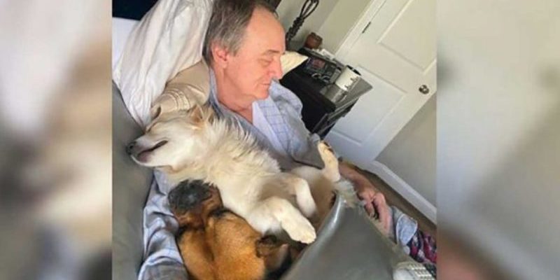 la fille trouve son père en train de dormir avec les chiens