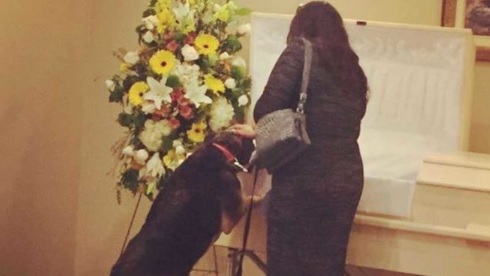 La maison funéraire a permis au chien de venir dire au revoir au propriétaire