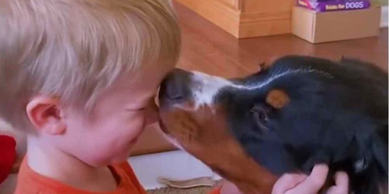 Un petit garçon écrit une lettre d’amour à son fidèle chien