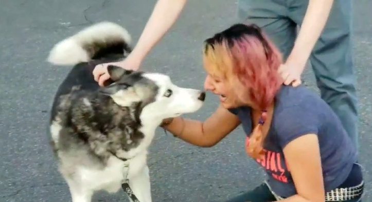 Une femme au cœur brisé a enfin retrouvé son chien perdu après 2 ans de séparation