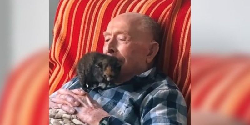 Ce petit chat a rempli de joie la vie d’un grand-père centenaire