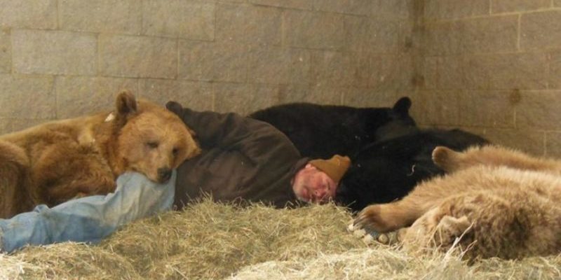 Cet homme dévoué était allongé à côté des ours pour les aider à dormir