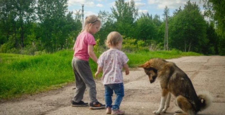 Ces enfants ont nourri un adorable chiot pendant six mois et un jour…..