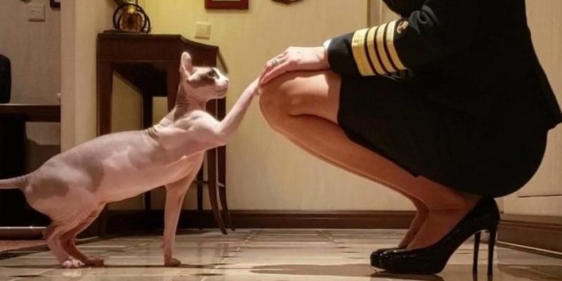 Cette femme a été la première au monde à voyager avec un sphynx