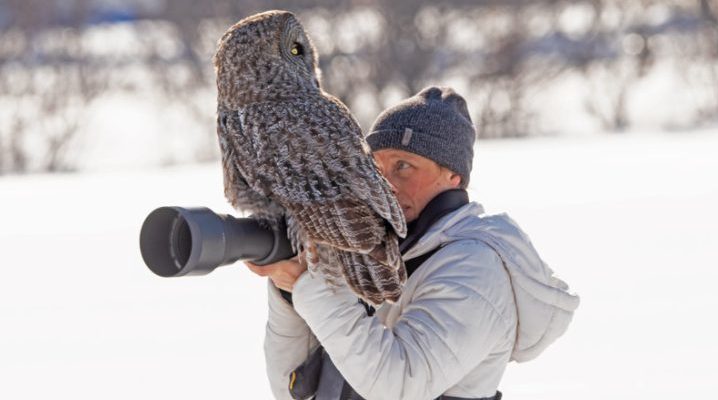 Moment incroyable : un grand hibou s’est posé sur l’appareil photo d’un photographe