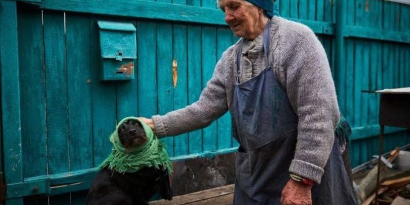 Cette grand-mère a enveloppé son chien dans une écharpe pour ne pas avoir peur pendant les bombardements