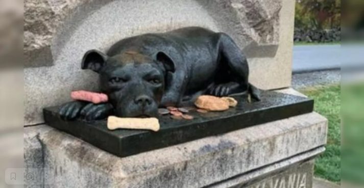 Les gens rendent hommage au chien héros qui a combattu les soldats pendant la guerre en lui laissant des os et de la nourriture