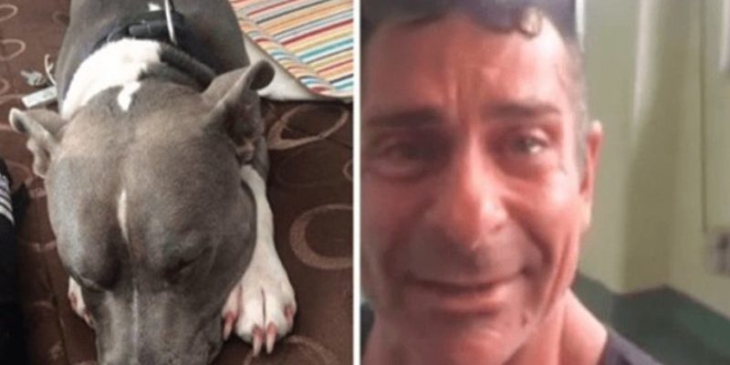 Un homme retrouve son chien volé deux jours seulement avant qu’il ne soit euthanasié