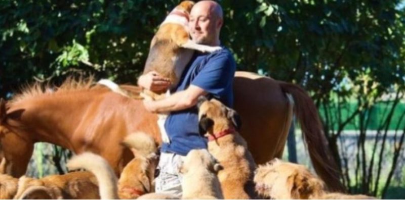 Un homme déménage à la ferme pour créer un espace sûr pour les animaux errants