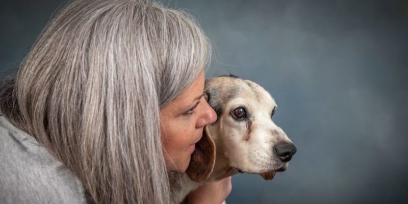 Une femme transforme sa maison en hospice pour les chiens âgés de refuge afin qu’ils ne meurent pas seuls