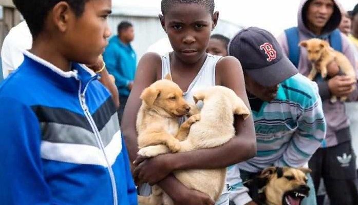 Un garçon a parcouru 2 miles seul pour sauver un chiot mourant