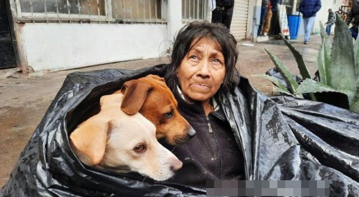 Une femme qui n’a nulle part où vivre refuse d’aller dans un refuge parce qu’elle n’a pas le droit d’amener des chiens avec elle