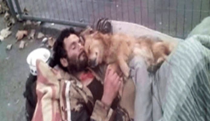 Ce SDF dort avec son chien, un ange à quatre pattes qui ne le laissera jamais tomber