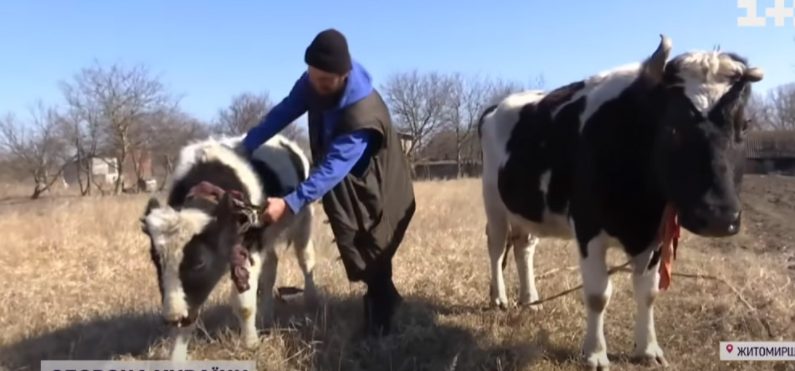 Cet homme a parcouru un long chemin avec ses animaux de compagnie depuis le bombardement