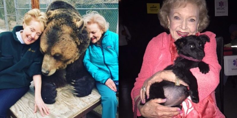 Betty White, 99 ans, partage un grand moment avec un ours brun géant