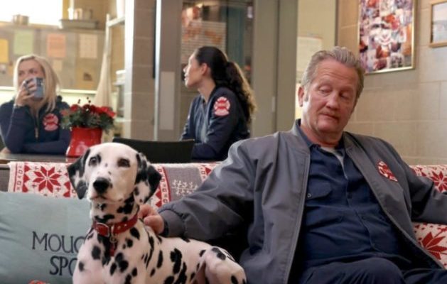 Les acteurs et l’équipe de « Chicago Fire » pleurent la perte de leur célèbre Dalmatien