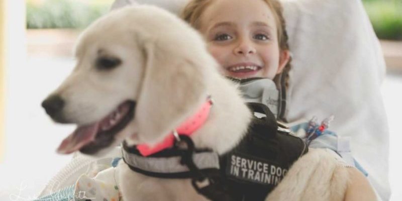 Après l’accident de voiture, la jeune fille handicapée n’a commencé à sourire que grâce à ce chien