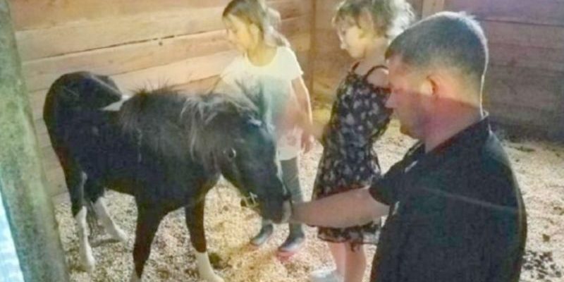 Avant d’être vendu, le poney sauvé a étreint son sauveteur