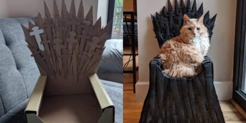 La propriétaire du chat a fabriqué un trône de fer « en carton » pour son chat comme dans « Game of Thrones »