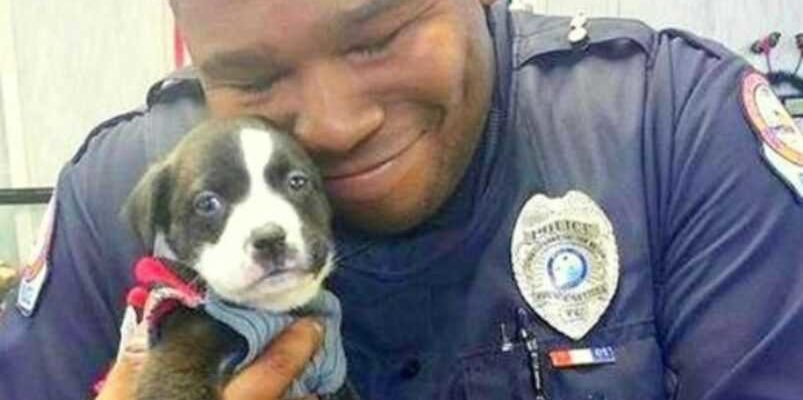 Voyant le chien abandonné, le policier n’a pas hésité à l’adopter